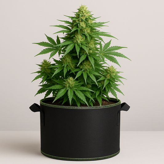 Melandru Stofftopf - 10L - 3er Pack